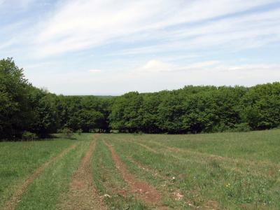 Прикрепленное изображение: DSCF8471.jpg